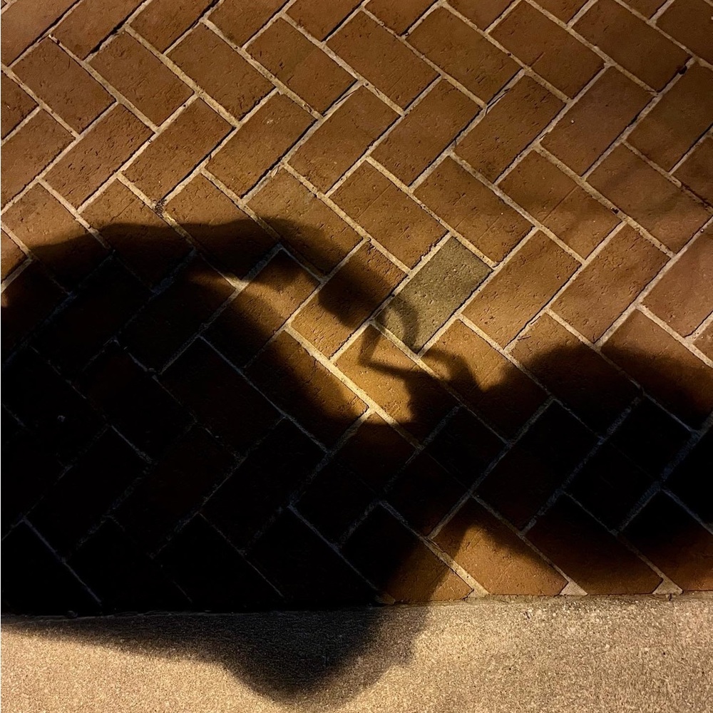 Meet your Posher, Jaedon